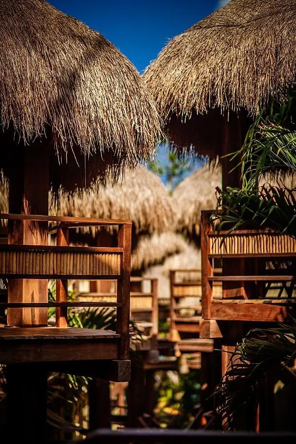 Hotel Carolina Bacalar