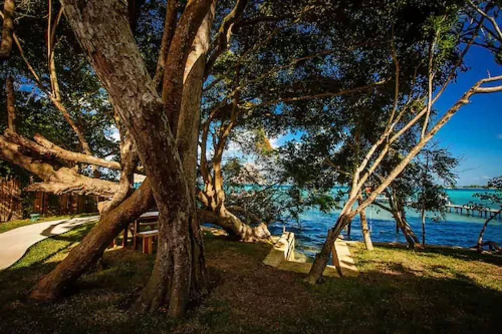 Hotel Carolina Bacalar